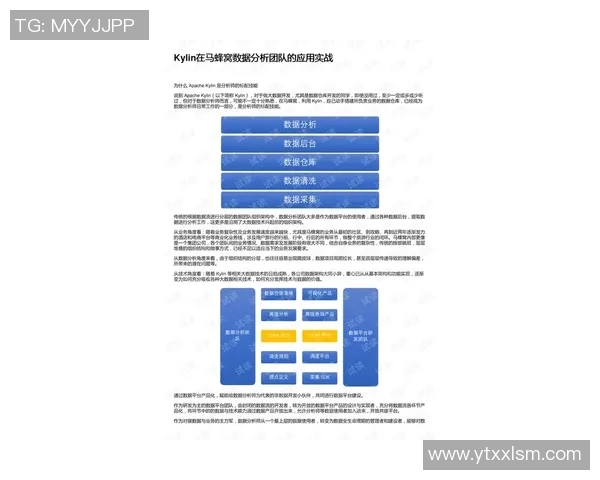 实时新闻数据分析揭示EDG团队协作表现的关键因素与提升策略